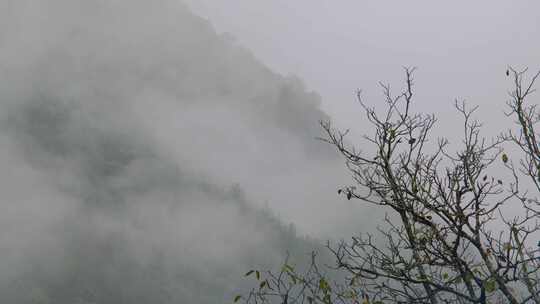 初秋雨中山脉云雾缭绕的绝美自然风光