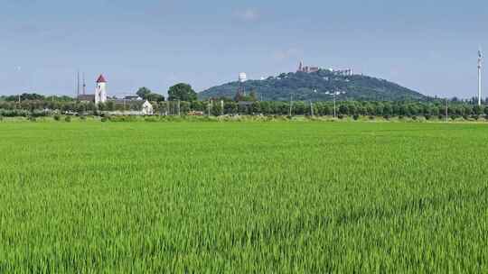 上海佘山张朴桥天主教堂与田园风光