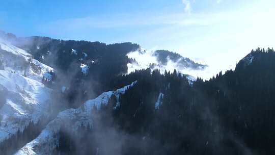 雪山云海