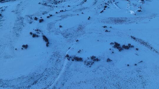 水墨扎敦河湿地雪景暮色