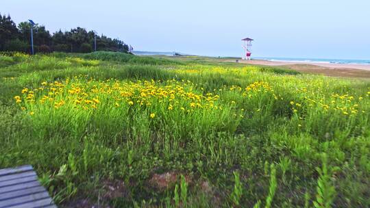 海边沙滩青岛银沙滩