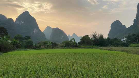 广西桂林阳朔山水风景麦田视频素材模板下载