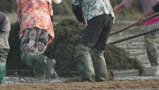 农民在田野里干农活务农