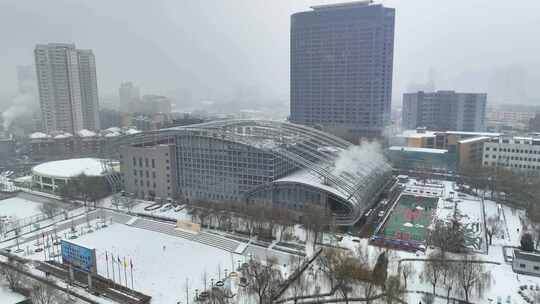 下雪的城市