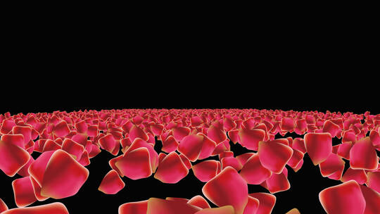玫瑰花瓣粒子海冲屏幕视频视频素材模板下载