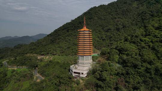 深圳弘法寺本焕塔视频素材模板下载