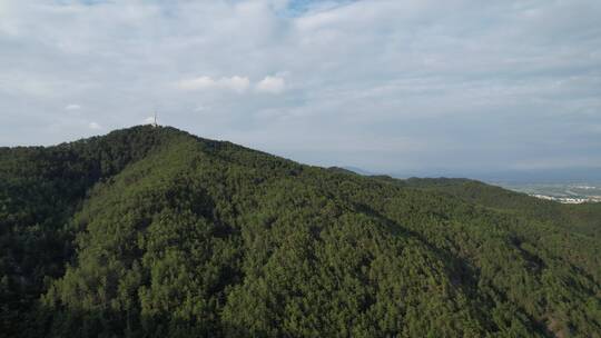 大山实拍