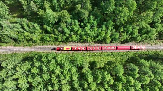 航拍行驶在大兴安岭的森林小火车视频素材模板下载