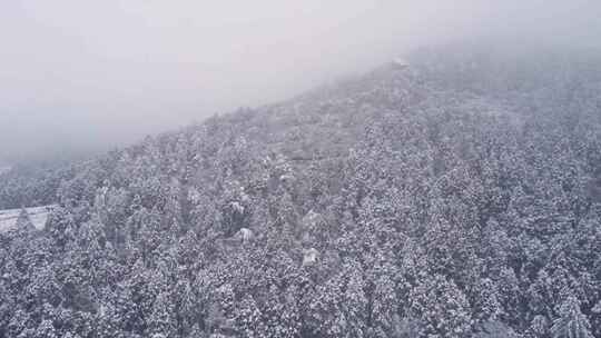 雪覆山林雾霭景象