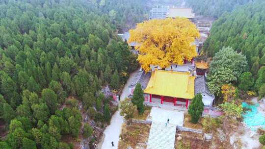 山东济南淌豆寺秋天航拍寺庙