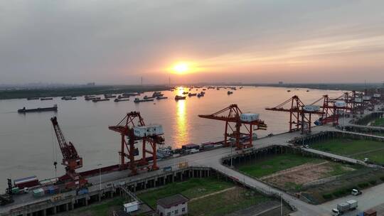 武汉阳逻港，吊机群中景平视环绕镜头