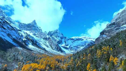 雪山下多彩树林与湖泊相映的美景