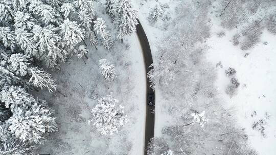 航拍户外积雪覆盖的森林公路上行驶的汽车