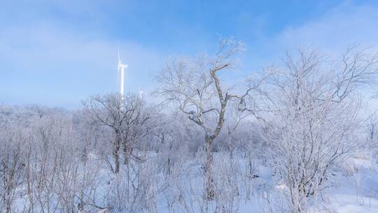 大顶子山广角风车树挂雪景延时