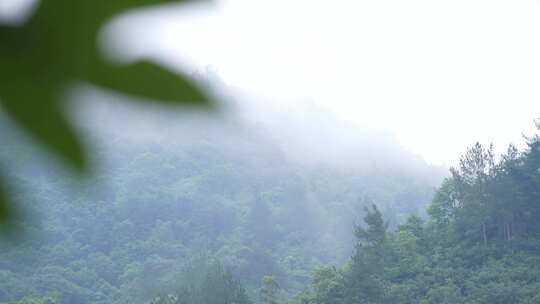 乡村 自然 溪流 村庄 航拍 蜂巢 森林