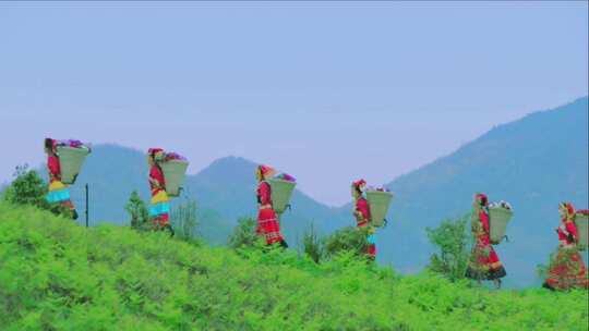 少数民族彝族美少女背着箩筐在大山里的栈道