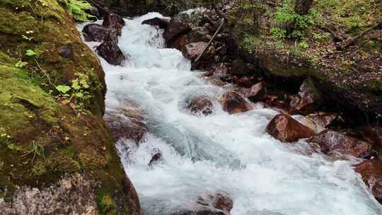 唯美清晨山涧小河溪流