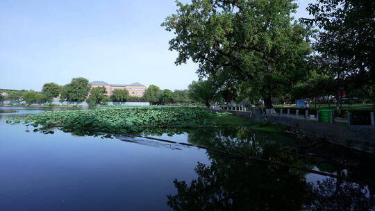 武汉汉阳莲花湖公园风景视频素材模板下载