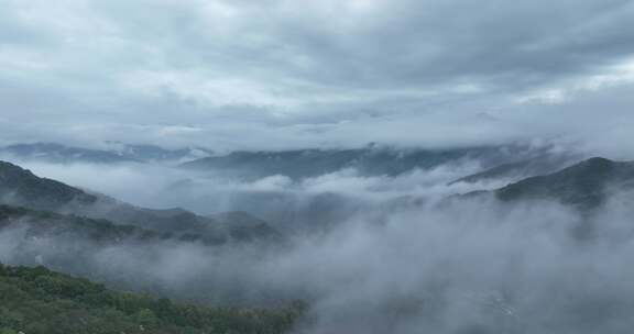 绿山云雾缭绕云海大山