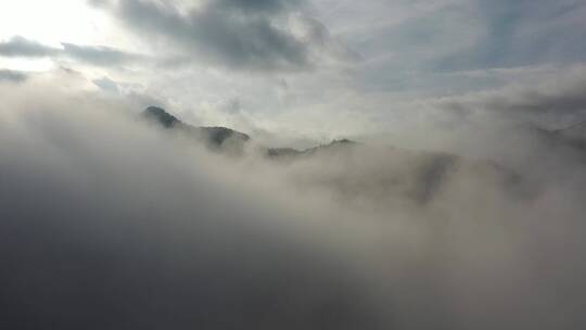 森林-航拍森林-大自然森林云雾-云海雪景