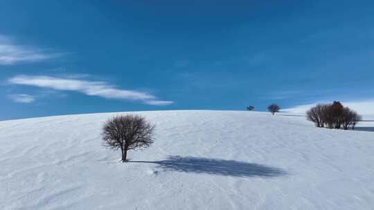 唯美雪原美景 水墨丹青画卷