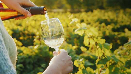 葡萄酒庄园葡萄酒广告将葡萄酒倒入玻璃杯