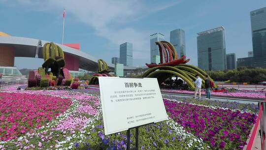 深圳市民中心广场附近的高楼和花坛视频素材模板下载