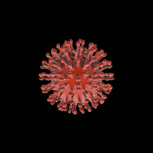 细菌病毒I