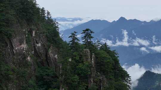 美丽中国河南伏牛山老界岭自然风光