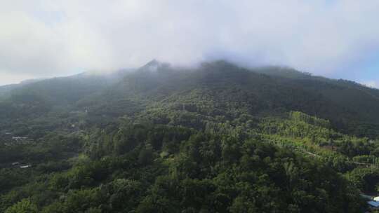 山川云海清晨早晨风光山丘航拍