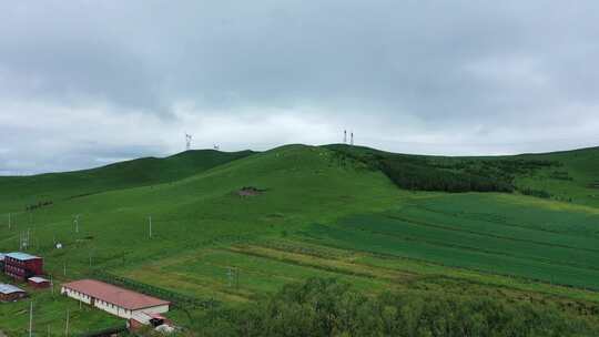 【航拍】草原风景 坝上草原 草原天路