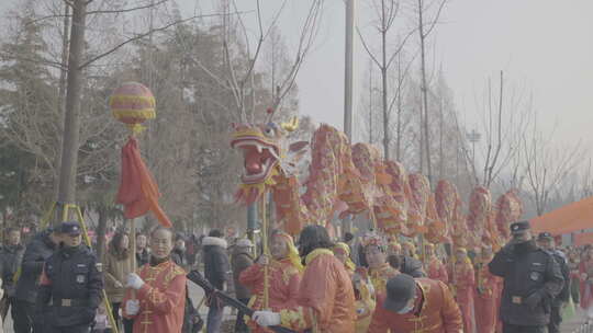 街头舞龙民俗表演场景