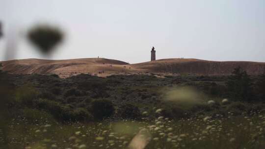 灯塔， Rubjerg Knud，花，山