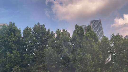 城市高楼建筑树叶车窗视角横移