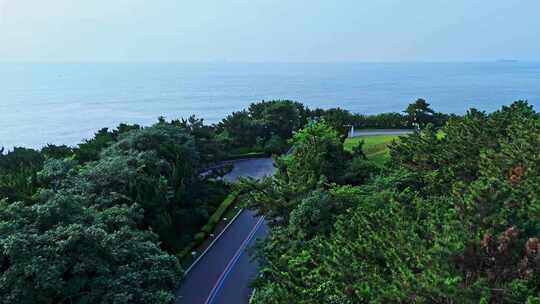 夏季城市绿心海岛公路晨跑健身跑道