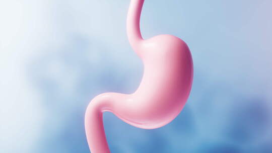 胃部消化系统医疗概念3D渲染视频素材模板下载