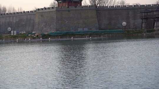 建筑 邯郸 永年 风景 邯郸地标 建筑物