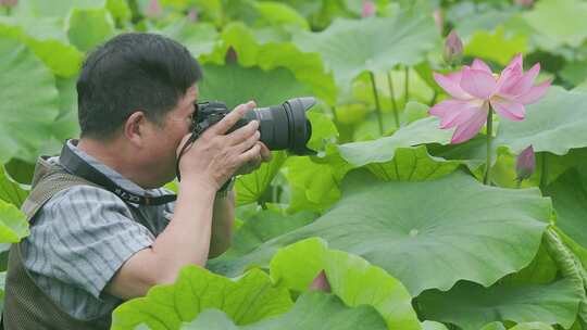 莲影人生：退休干部镜头下的莲花池塘