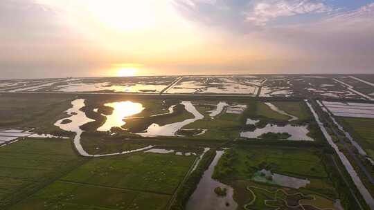 金色日出上海崇明岛东滩湿地全景