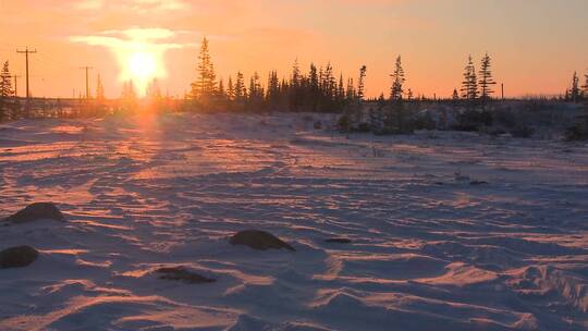 北极冰冻苔原上的日出