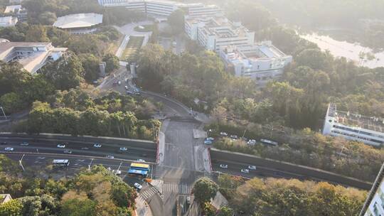 深圳大学 大学 教育 深大 校园 航拍