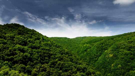 六盘山青山