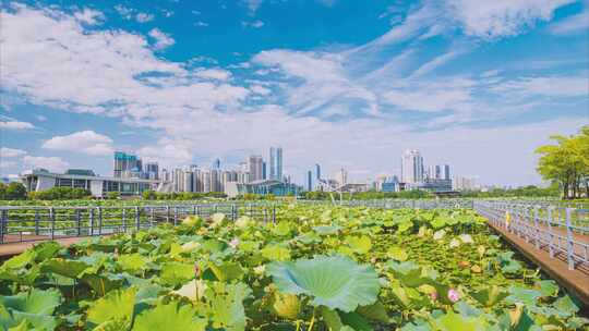 武汉城市地标天际线风光