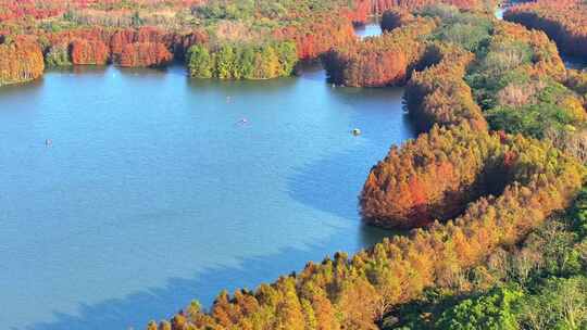 上海奉贤海湾国家森林公园  奉贤湿地公园