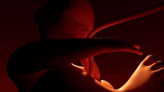 婴儿 胚胎 生命 孕育 
