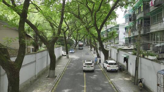 航拍中国杭州夏日万松岭路车流交通