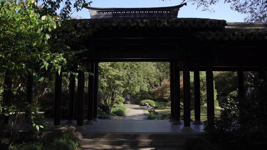 杭州西湖景区曲院风荷风景