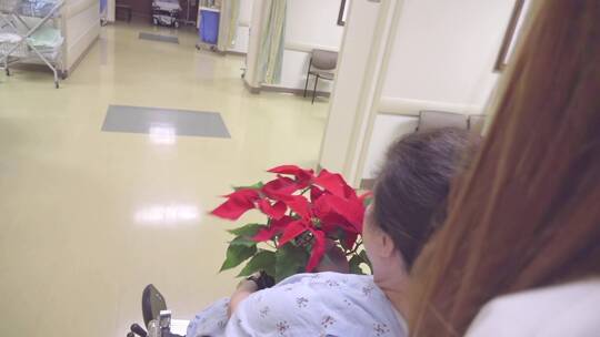 轮椅上的病人怀抱鲜花