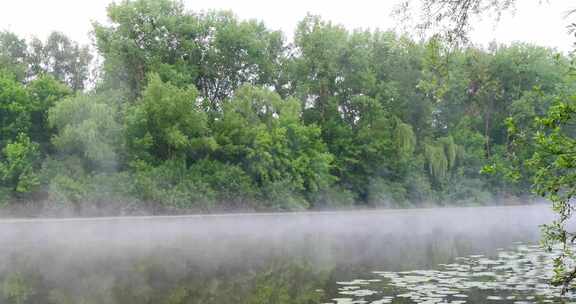 晨雾在平静的河上