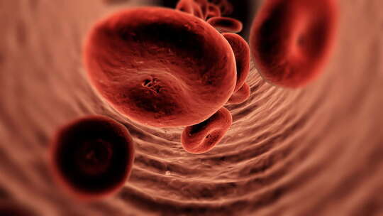 红细胞 血管  通畅 血栓 血液视频素材模板下载